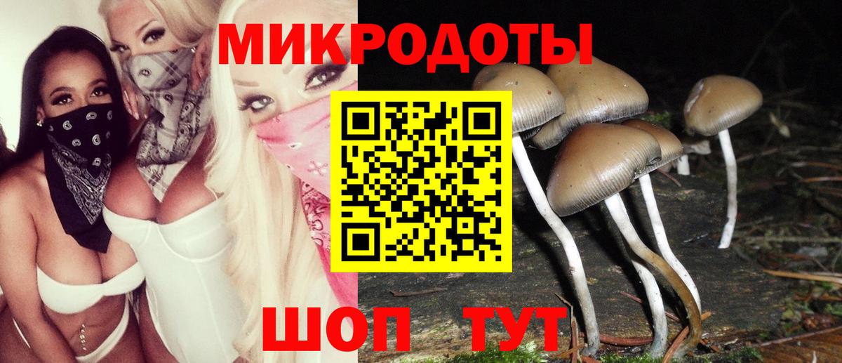Псилоцибиновые грибы Cubensis Шадринск